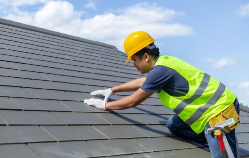 Roof Maintenance