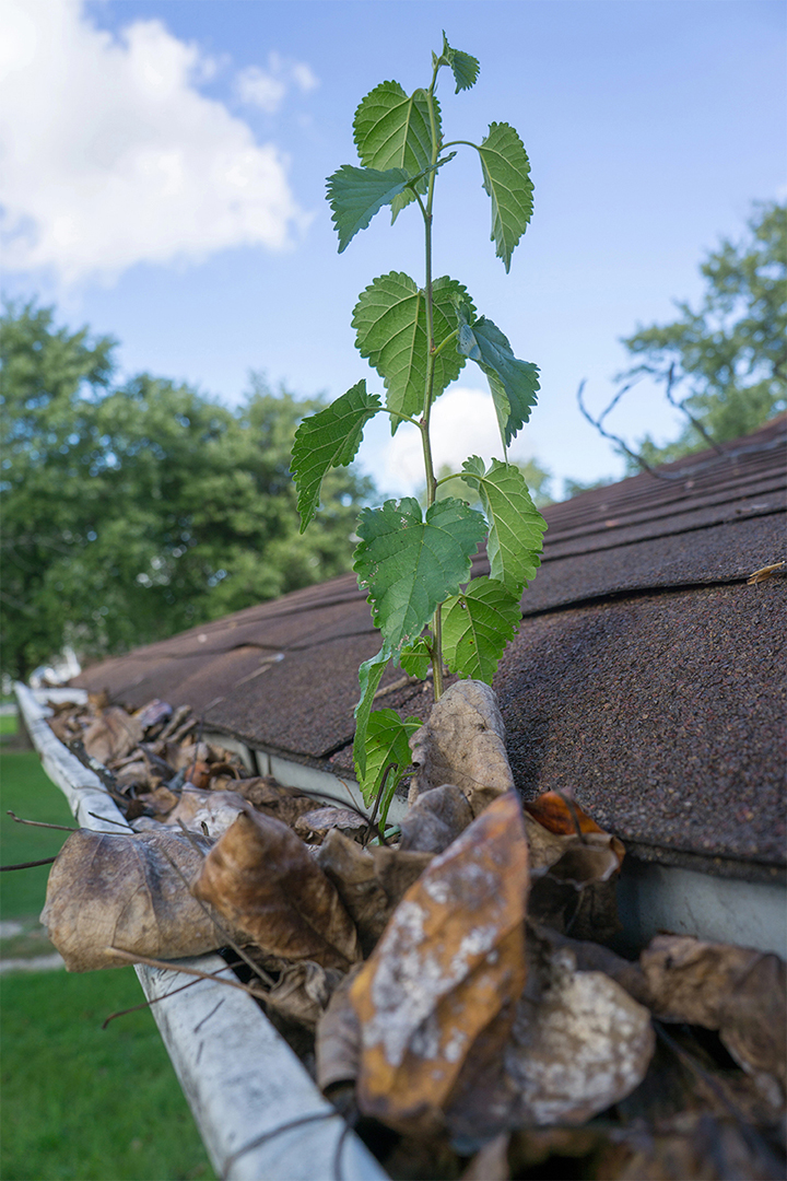 Nuvista team cleaning a clogged gutter in Passaic, Bergen, Rockland County region