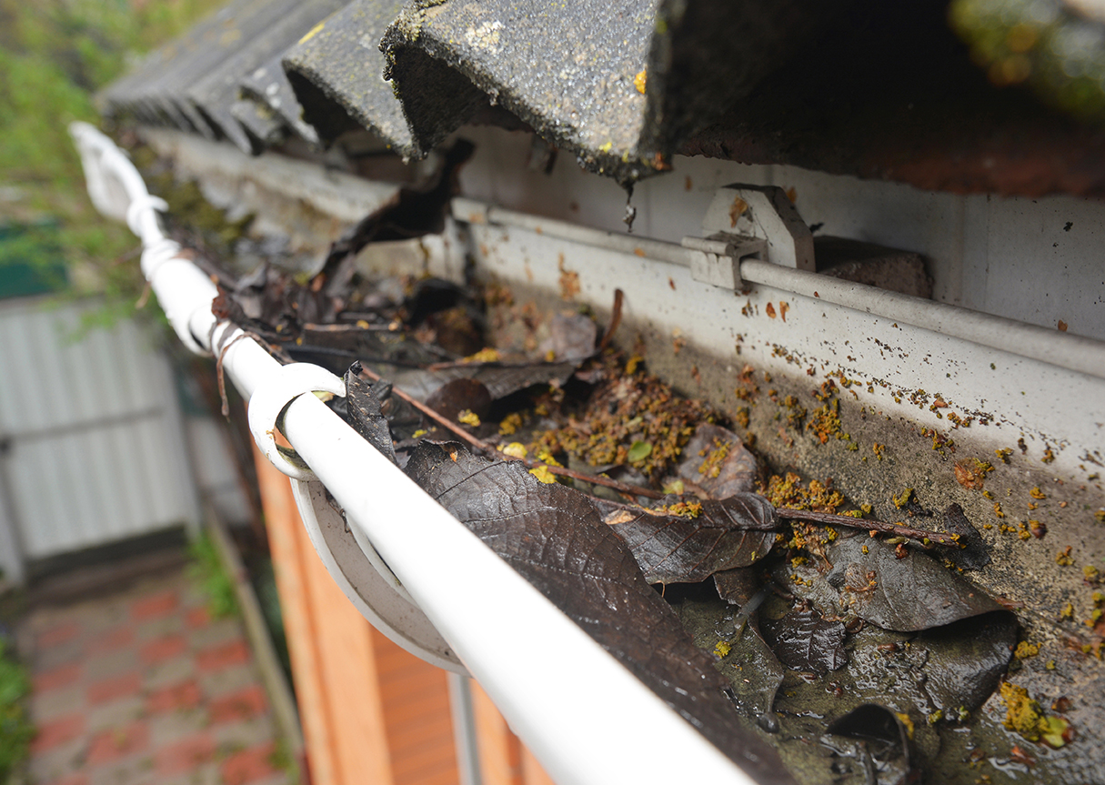 Gutter Cleaning dervice  Leaves and debrie removed to clear Gutter Drainage in the Bergen, Passaic, Rockland County Area
